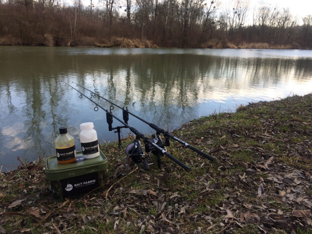 Karpfen Angeln mit Karpfen Köder - Baits und Boilies