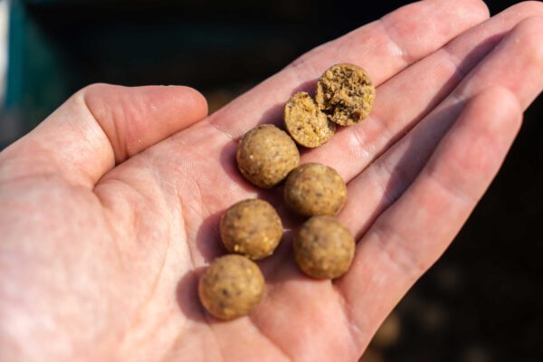 bcx-food-concept-boilies