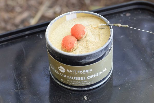greenlipmussel-essentialorangeboilie