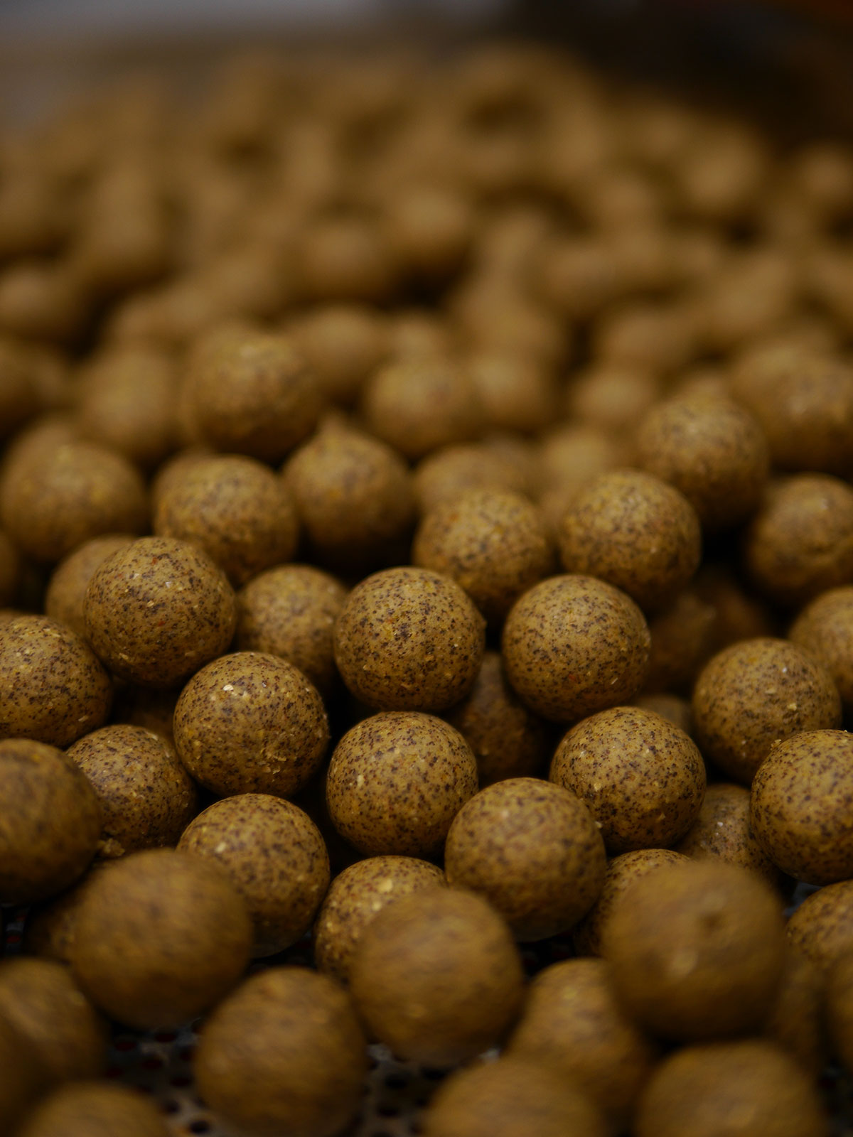 Welche Boilies Sind Die Besten Für Karpfen Die besten Boilies und Angelköder - Boilies kaufen bei Bait Fabrik